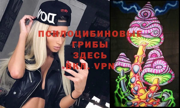 экстази Корсаков