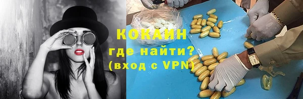 стафф Коряжма