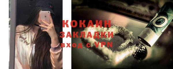 стафф Коряжма
