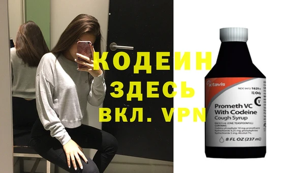 СК Кодинск