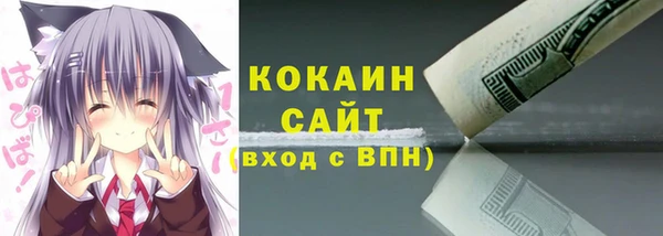 шишки Костерёво