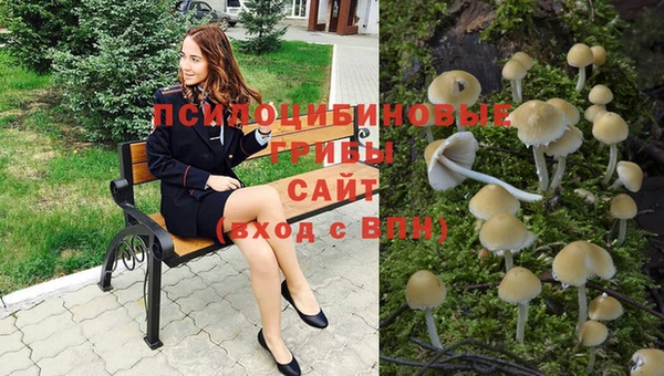 экстази Корсаков