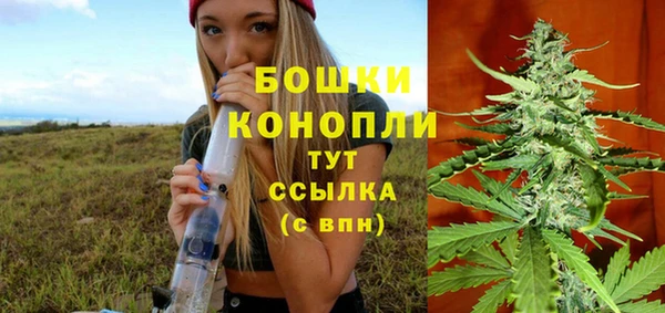 СК Кодинск