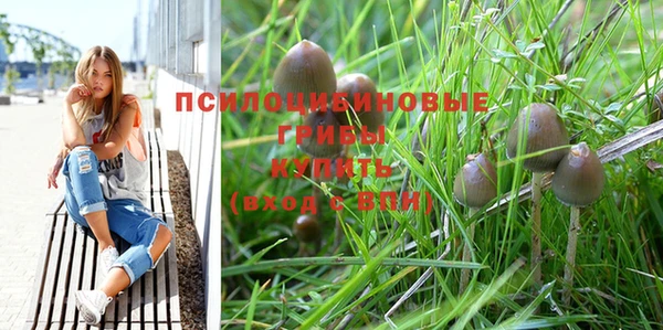 шишки Костерёво