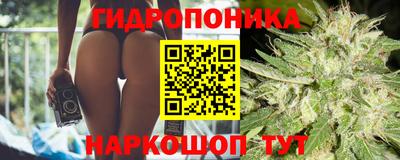 тгк Кимры